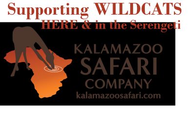 Kalamazoo Safari